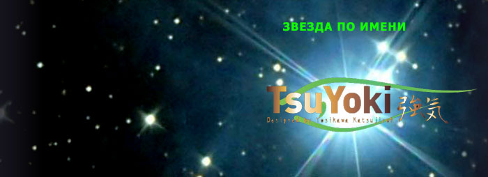 StarDust PULSE banner 2023.jpg